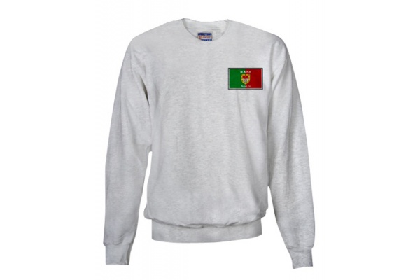 Apparel/sweatshirt-left-chest-gray-front